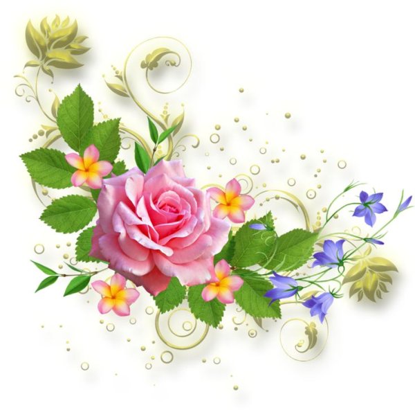 Цветы угловые