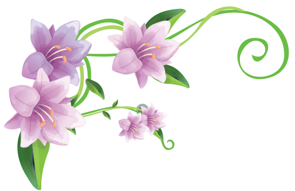 Цветы без фона