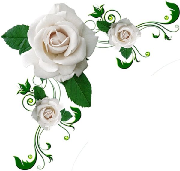 Цветы угловые