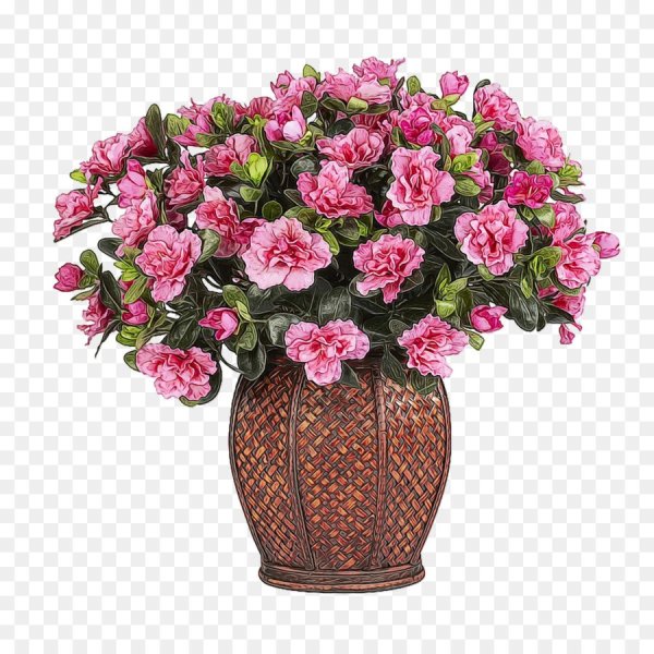 Цветы в горшках