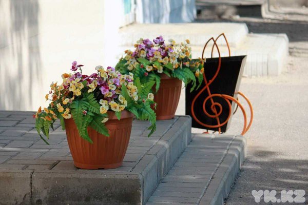 Композиции в горшках на улице