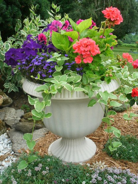 Цветочные композиции в горшках для сада