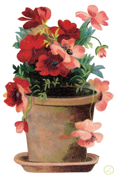 Цветы в вазоне на прозрачном фоне