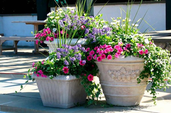 Узел цветника в контейнере