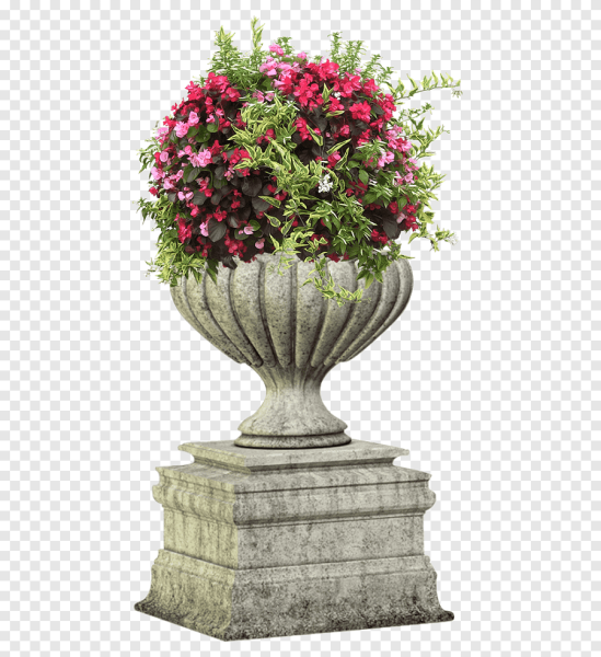 Гортензия крупнолистная в кашпо