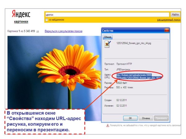 Найти цветок по фото в Яндексе