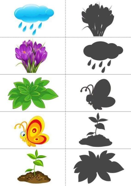 Дидактические задания для детей