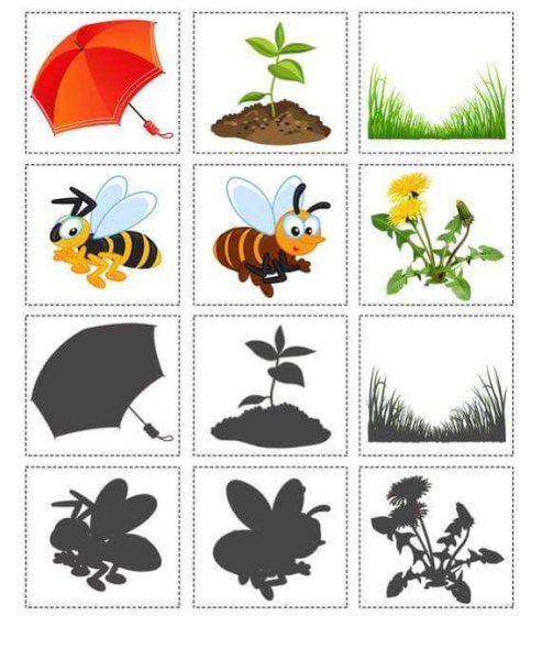 Теневое лото насекомые