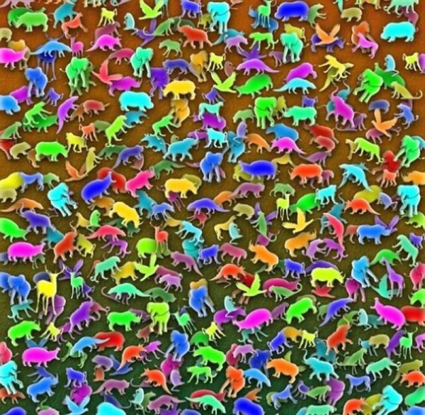 Головоломки для зрения