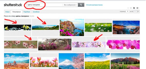 Shutterstock поиск по картинке