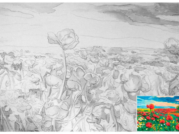 Поле цветов карандашом