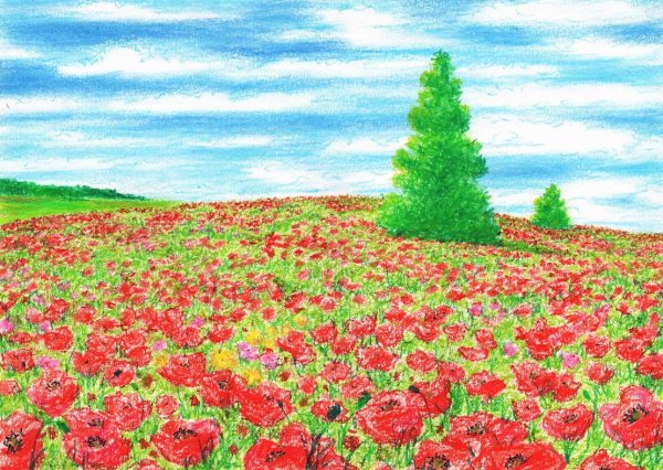 Нарисовать поле с цветами