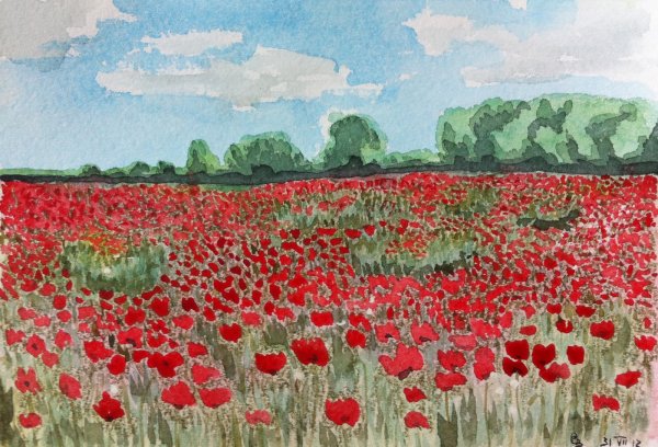 Цветочное поле карандашом