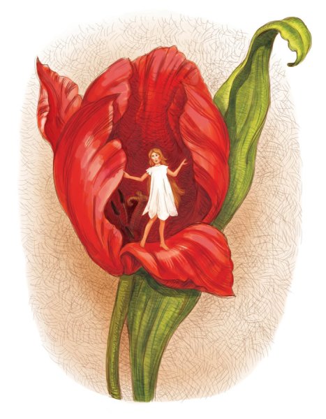 Тюльпан “Дюймовочка” г. х Андерсен