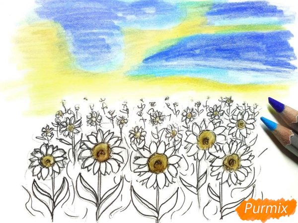 Поле подсолнухов карандашом