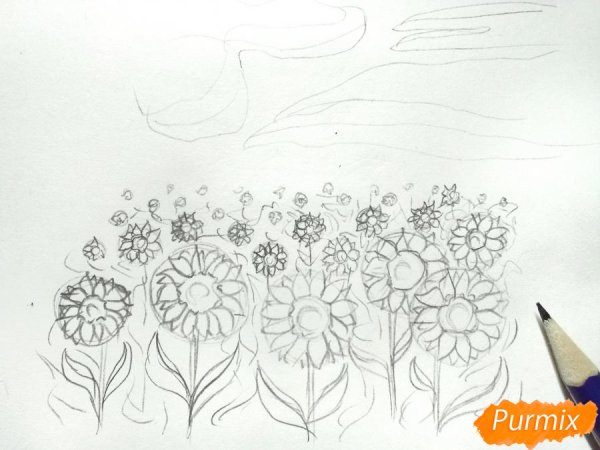 Поле подсолнухов рисунок карандашом