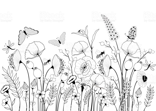 Поле акварелью