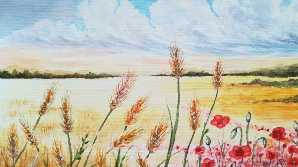 Поле цветы в графике