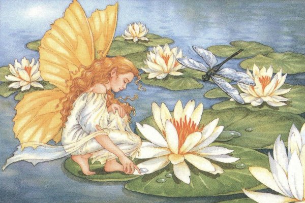 Дюймовочка Лотос Андерсен