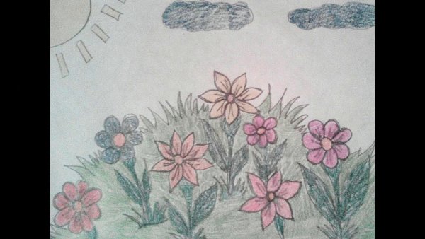 Поле цветы в графике