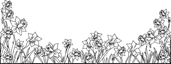 Бабочка на цветке эскиз