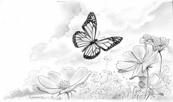 Луг карандашом