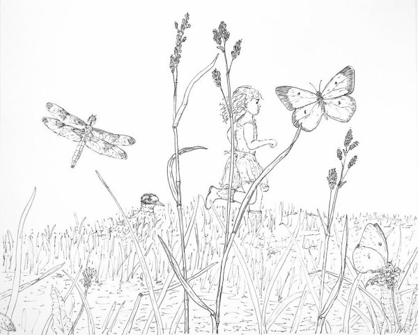 Пейзаж поле цветов карандашами