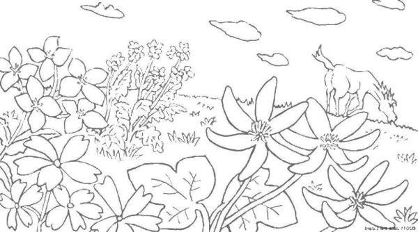 Графическая зарисовка осенней травы.