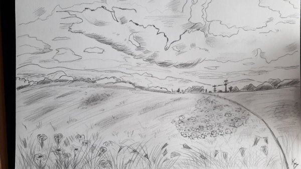 Раскраска луг