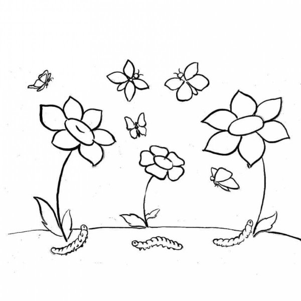 Рисование полевые цветы для детей