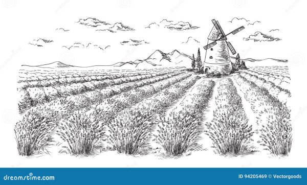 Весенняя Полянка с цветами раскраска