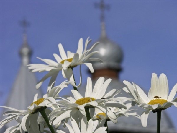 Цветы на фоне храма