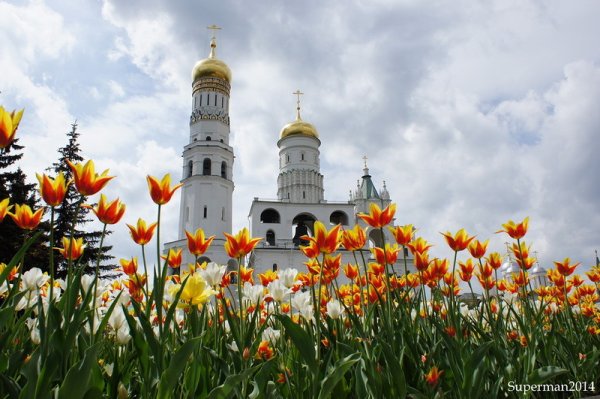 Храм Весна цветы