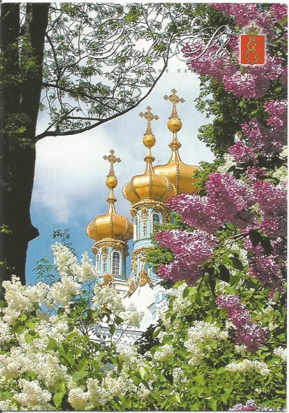 Царское село Санкт-Петербург и сирень