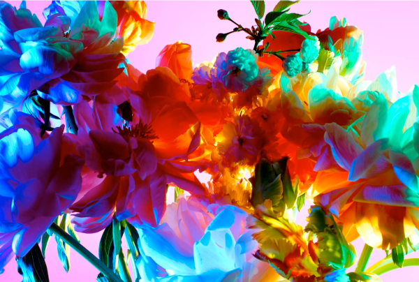 Яркие сочные цветы