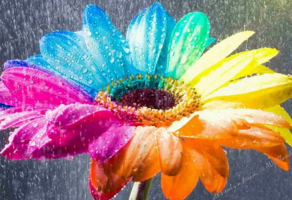 Цветочный фон