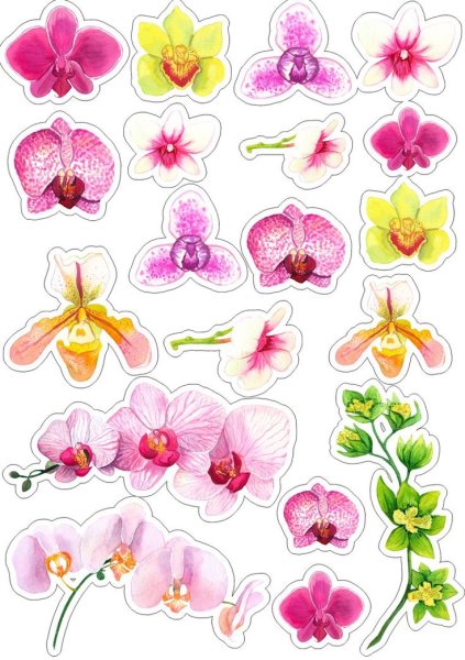 Скрапбукинг цветы для вырезания