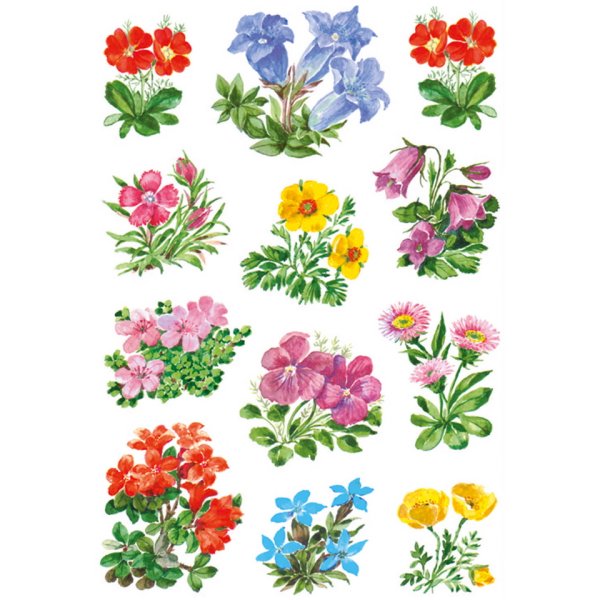 Цветы наклейки для детей