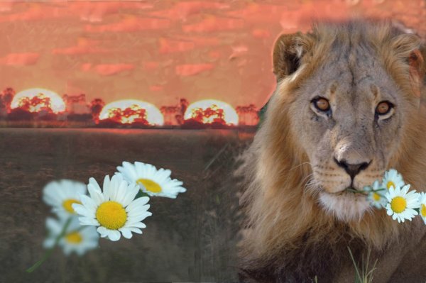 Лев с цветами