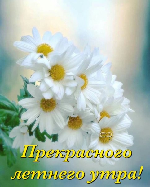 Прекрасного летнего настроения и удачи