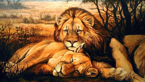 Лев с короной эскиз