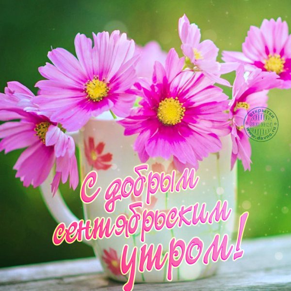 Душевного тепла и солнечного настроения