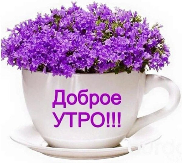 С праздничным утром