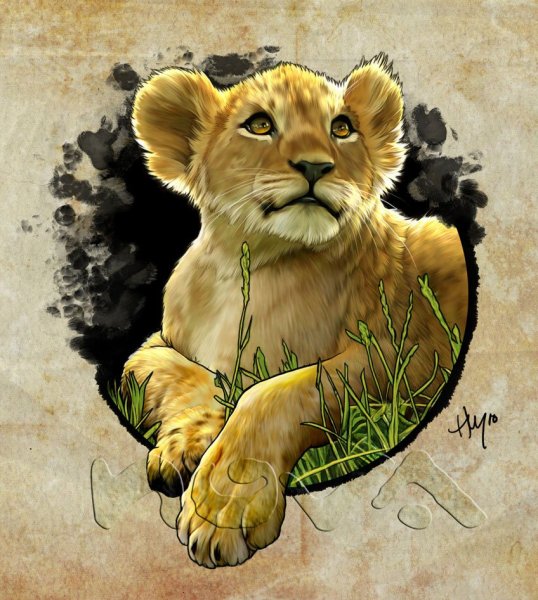 Тату львица и Львенок эскиз