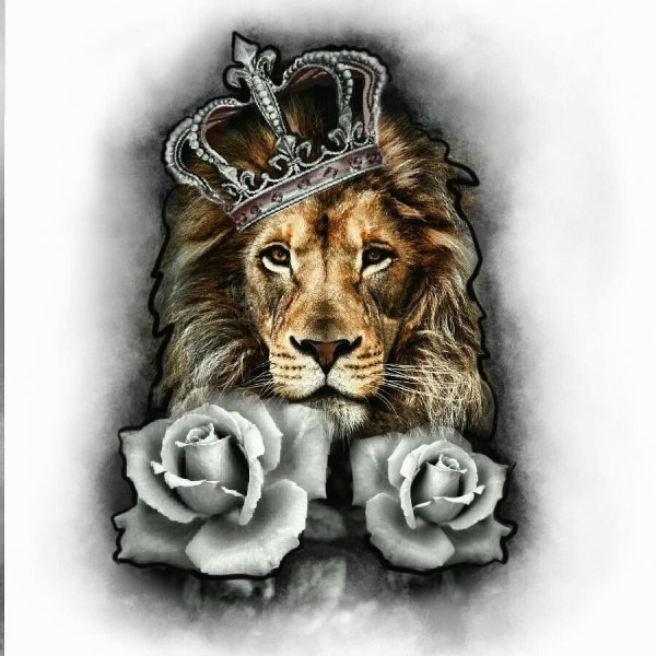 Львица и цветы