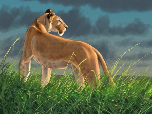 Львенок фэнтези