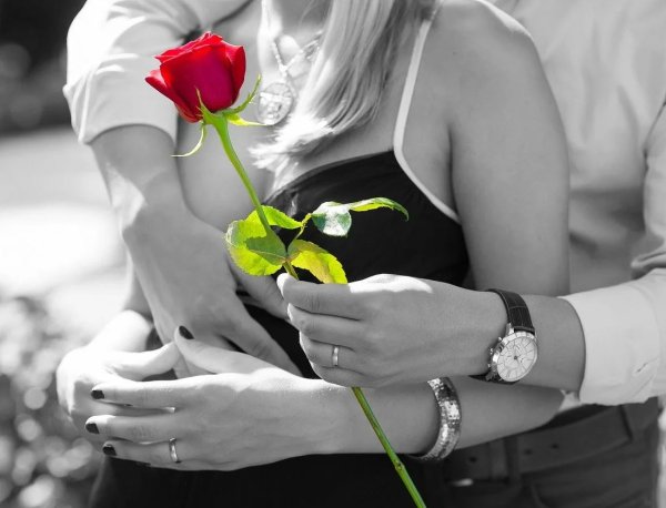 Мужчина дарит цветы женщине