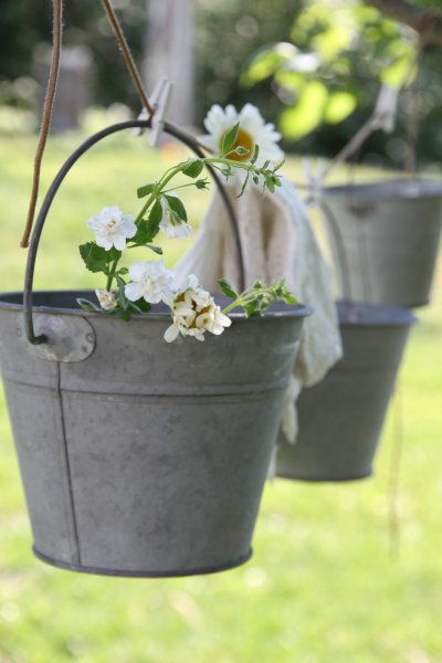 Растения в ведрах