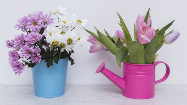 Тюльпаны в лейке