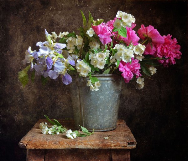 Цветы в ведре